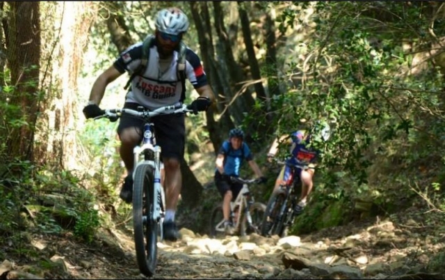 Greve in Chianusted Bicicleta de cerro 